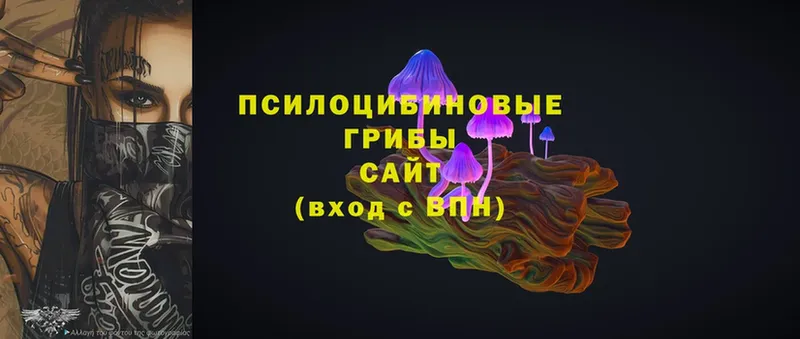 Галлюциногенные грибы Magic Shrooms  Уфа 